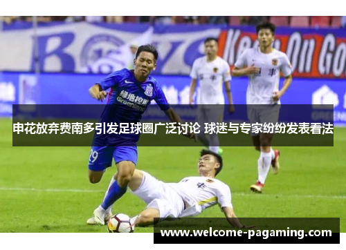 申花放弃费南多引发足球圈广泛讨论 球迷与专家纷纷发表看法 申花放弃费南多引发足球圈广泛讨论 球迷与专家纷纷发表看法