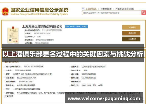 以上港俱乐部更名过程中的关键因素与挑战分析 以上港俱乐部更名过程中的关键因素与挑战分析