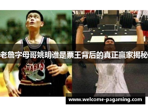 老詹字母哥姚明谁是票王背后的真正赢家揭秘 老詹字母哥姚明谁是票王背后的真正赢家揭秘