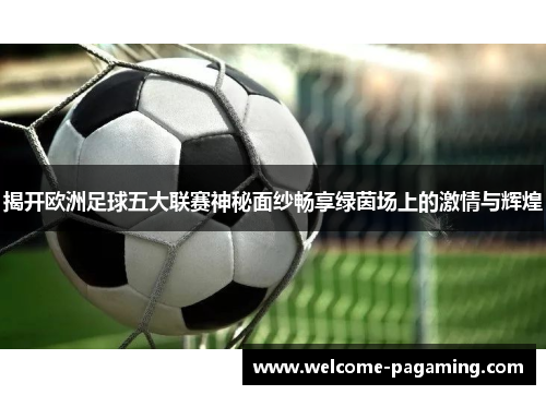 揭开欧洲足球五大联赛神秘面纱畅享绿茵场上的激情与辉煌 揭开欧洲足球五大联赛神秘面纱畅享绿茵场上的激情与辉煌