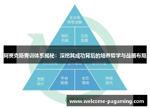阿贾克斯青训体系揭秘:深挖其成功背后的培养哲学与战略布局 阿贾克斯青训体系揭秘:深挖其成功背后的培养哲学与战略布局