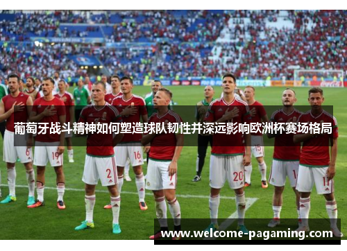 葡萄牙战斗精神如何塑造球队韧性并深远影响欧洲杯赛场格局 葡萄牙战斗精神如何塑造球队韧性并深远影响欧洲杯赛场格局