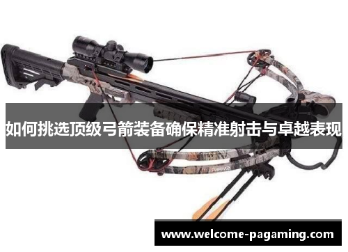 如何挑选顶级弓箭装备确保精准射击与卓越表现