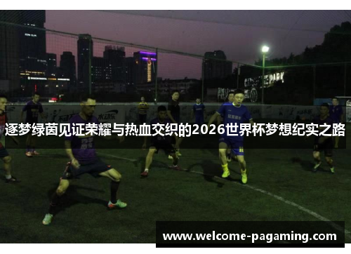 逐梦绿茵见证荣耀与热血交织的2026世界杯梦想纪实之路